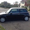 MINI One 52 plate