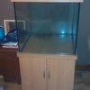 fishtank