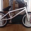 white fit bike co