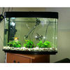 fish tank and accessories will pay and collect northwest