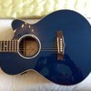 Tanglewood evolution mint condition!!