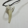 100 million year old shark tooth pendant