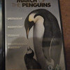 DVD: March of the Penguins