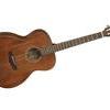 Tanglewood TW130 ASM Acoustic Guitar