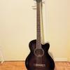 Ibanez Electric / Acoustic Bass Guitar with amp