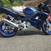 CBR 600f3