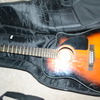 Fender 6-String Electro Acoustic