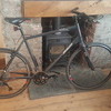 Specialized sirrus comp xl