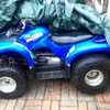 yamaha grizzly 125 quad