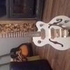 Epiphone wildkat limited edition royale white