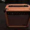 Stagg Accoustic guitar Pratice amp