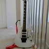 Modified Ibanez RG 350DX