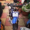 Thumpstar pitbike 125cc