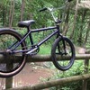 federal ty morrow custom bmx