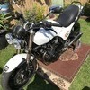 Kawasaki GPZ 750 streetfighter