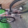 Trek pedal bike 29"