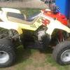 dolphin 250cc quad