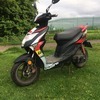 Beeline tapo rs50 2016 scooter
