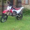 125cc big wheel pitbike