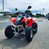 Quadzilla 250