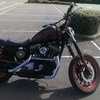 harley sportster 1200 2000 srambler