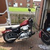 Harley sportster 1200 chopper