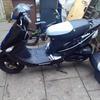 pulse/lexmoto scout 15 plate moped
