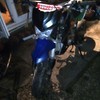 110cc  pitbike