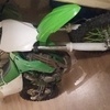 Kx 100 small wheel