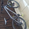 Whyte 901 hardtail