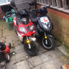 125 longia raptor and ninja 50moped