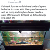 3ft fish tank full set up