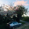 BMW 320 D M Sport