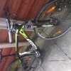 Scott mountain bike