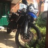 Triumph Tiger XCx 65 Plate