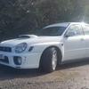 Rare white 03 bugeye impreza wrx