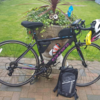 Woman's 16" cerrera roadbike(racer)