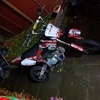 M2r 140 pit bike swap of sale