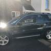 BMW X5 4.4 V8 petrol/lpg..