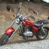 QINGQI vista cruiser 125 with mot