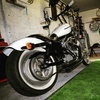 Harley Davidson xl883c