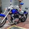 Honda Black Widow Rare VT750