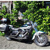 Kawasaki VN1500 MINT£4kXtras Harley