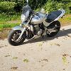 Honda Hornet 600 CBF R reg