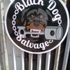 Black dog salvage