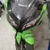 Ninja 300 special edition