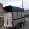 Horse Box In Need Of TLC