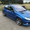 Peugeot 206 Gti 180bhp *READ AD*