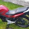 HONDA CBF125 2016 LEARNER LEGAL