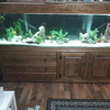 7 foot fish tank